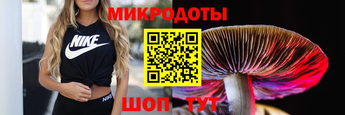 Галлюциногенные грибы MAGIC MUSHROOMS Амурск